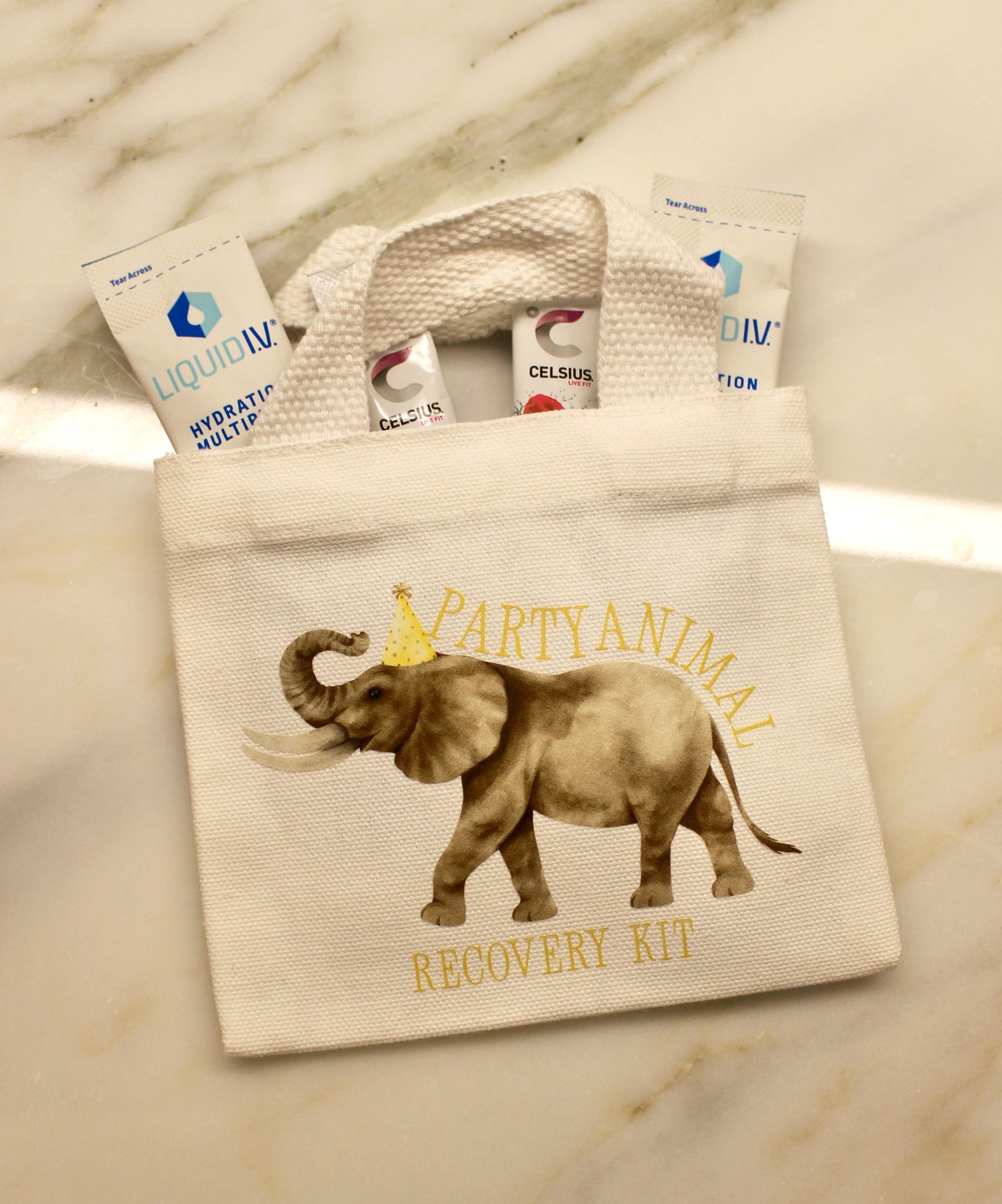 Party Animal Recovery Kit - Hangover Kit Bag image 0