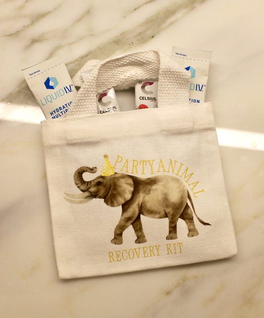 Party Animal Recovery Kit - Hangover Kit Bag image 0